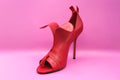 Women's Shoes – 3410